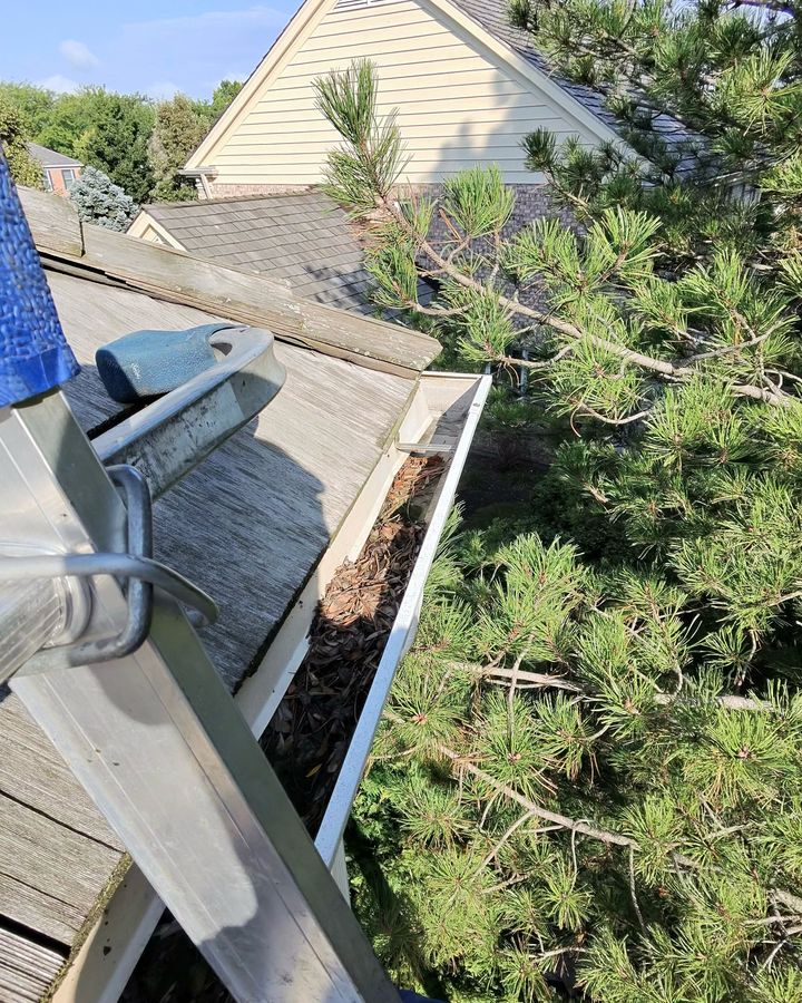 gutter packed with leaves before