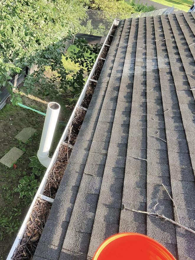 Gutter full of debris before cleaning